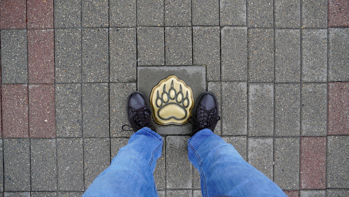 Ярославль. По медвежьей тропе. - Alex 711402