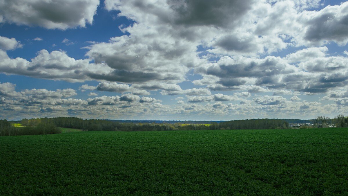 * - Евгений Ваулин