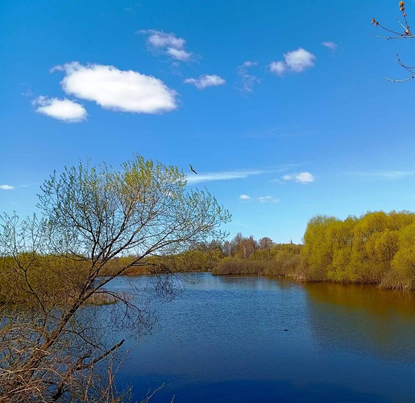 Апрельский пейзаж - Галина Бобкина