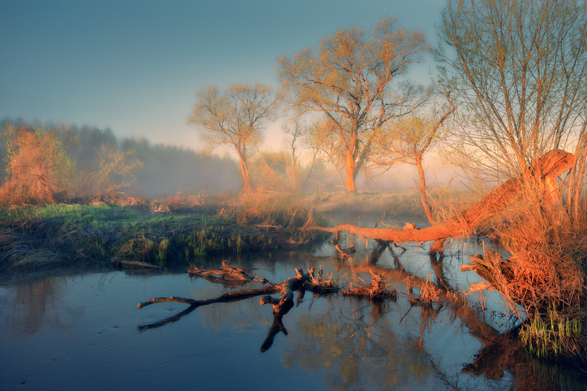 Первые лучи ... - Roman Lunin