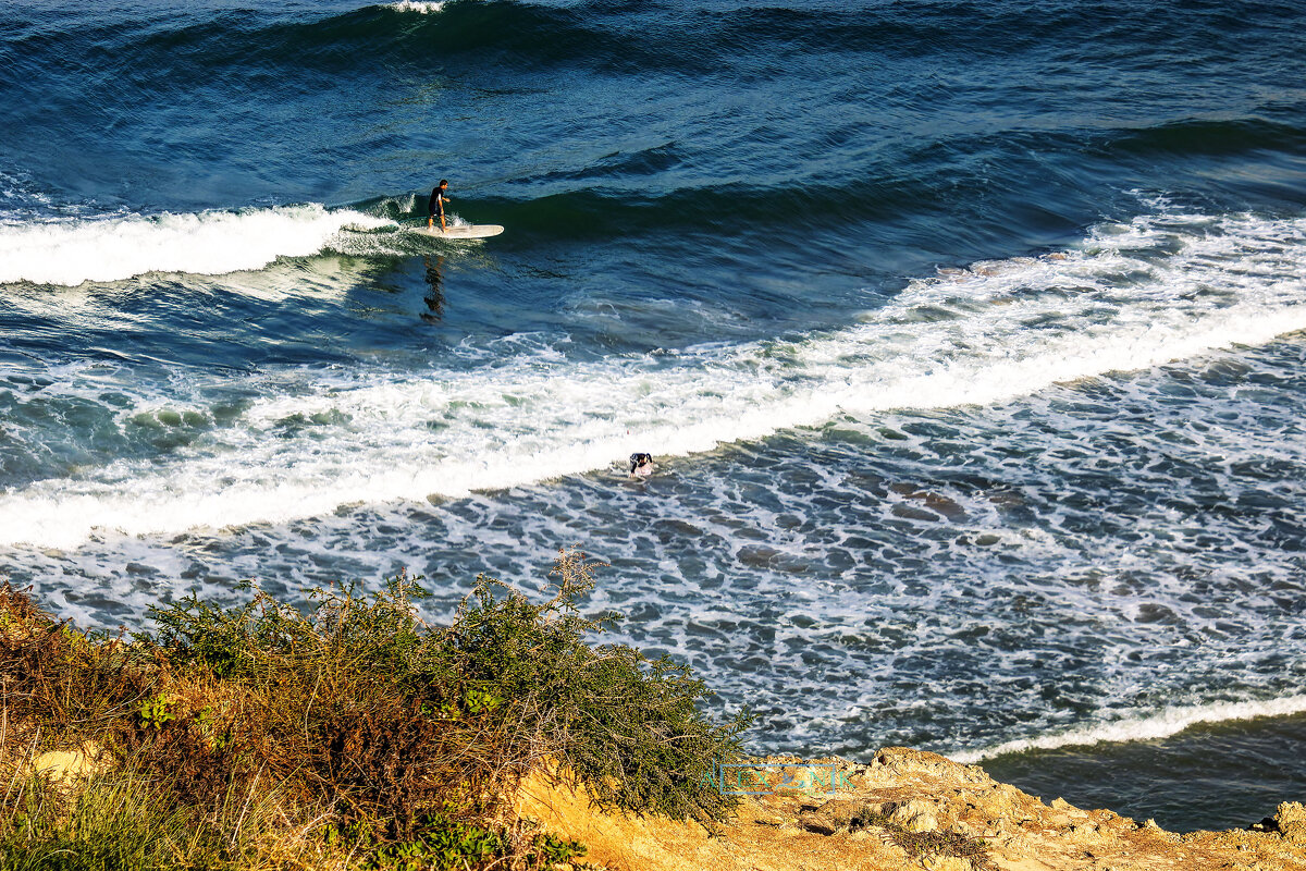 Серфинг. - Argaman Табашник