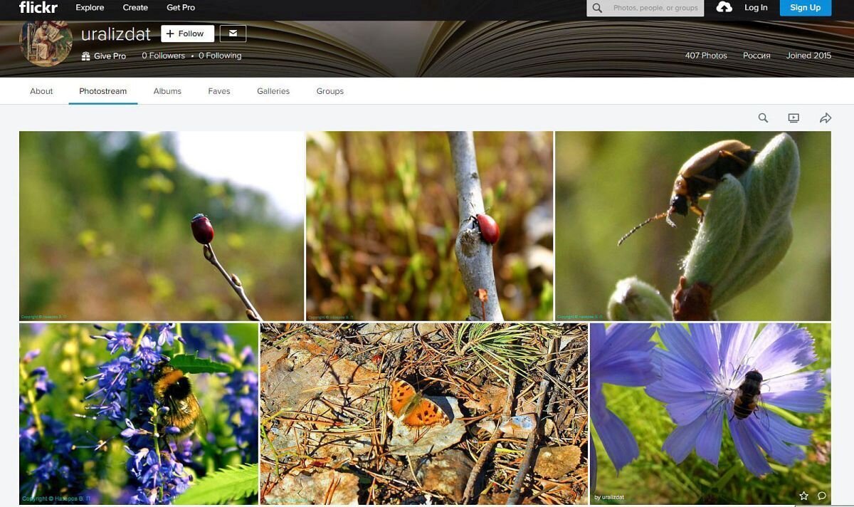 Фото из моей книги Песнь и плач и Матери-Земли! - Владимир 