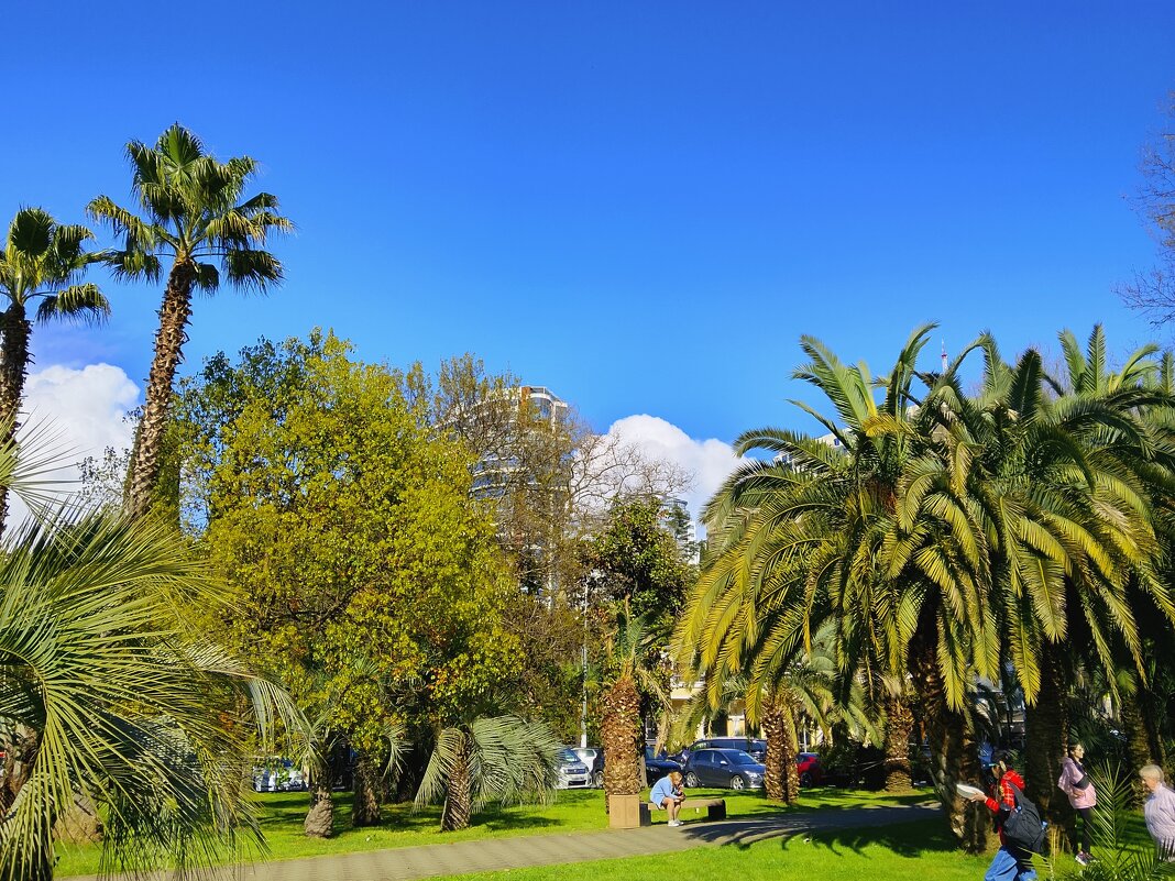 Сквер у морпорта - Tata Wolf