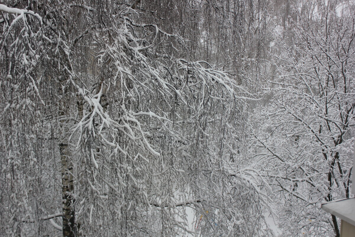 Утро нового дня - Alisia La DEMA