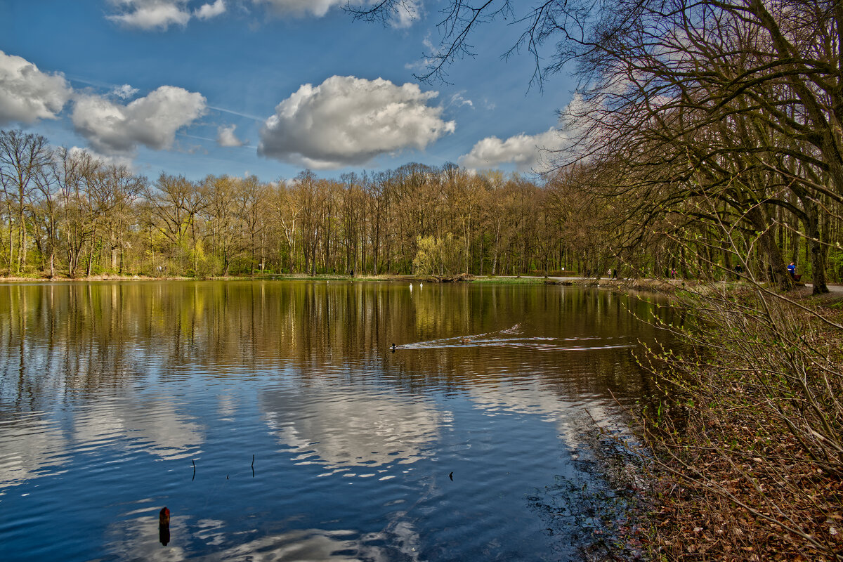 Пруд - Jakob Dick