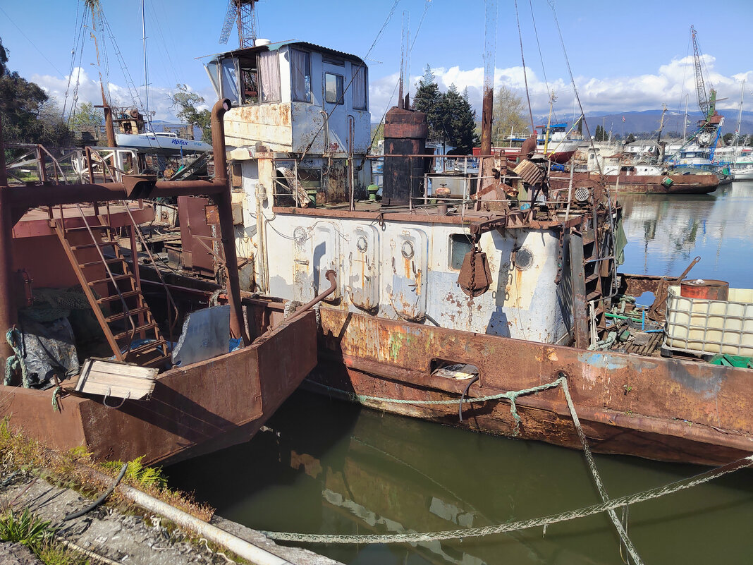 2. Организованный  хаос. Автор Саша - Фотогруппа Весна