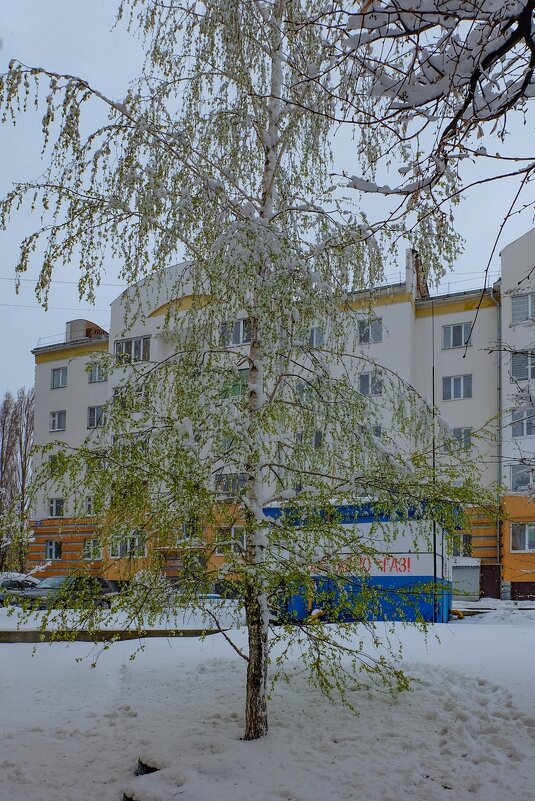 19 Апреля 2017 года город Белгород ... - Ravile 