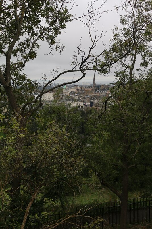 Хмурая осень в Эдинбурге - Ольга 