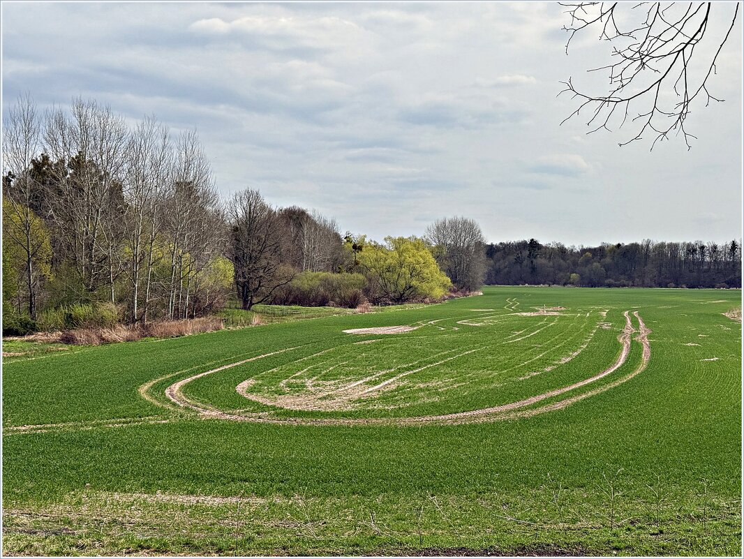 Весеннее поле. - Валерия Комова