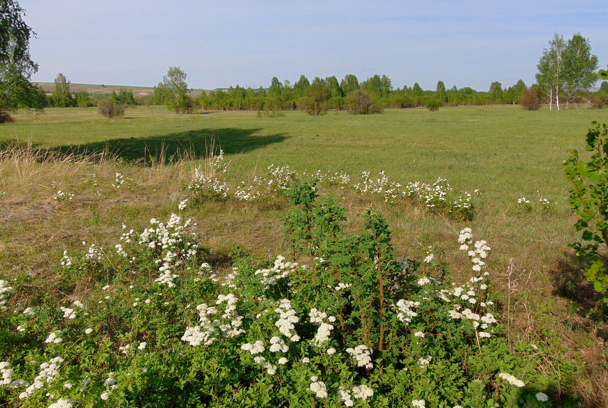 Весенний хоровод. - nadyasilyuk Вознюк