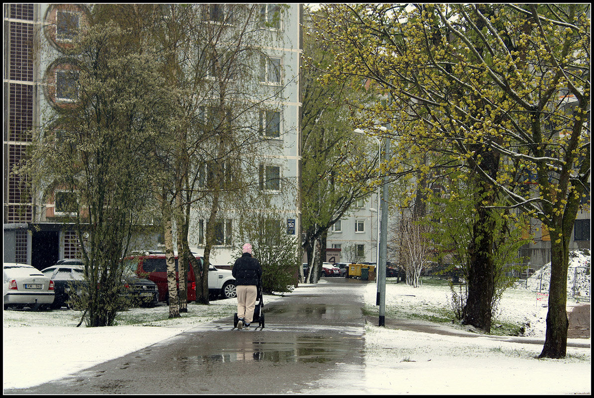 Зима не сдается - Aleksandr Gal