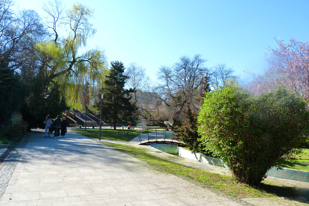 Весна  в горсаду - Валентин Семчишин