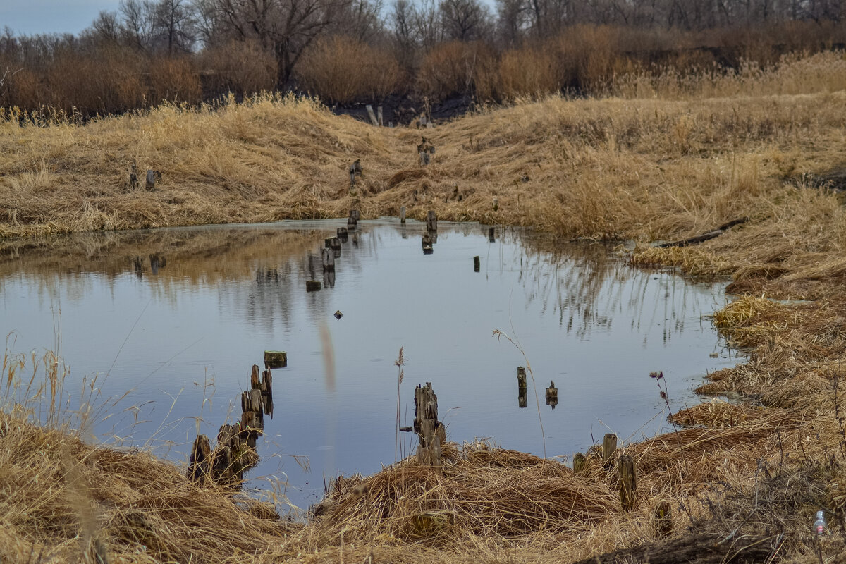 Мост разрушен. Дальше дороги нет. - Михаил К
