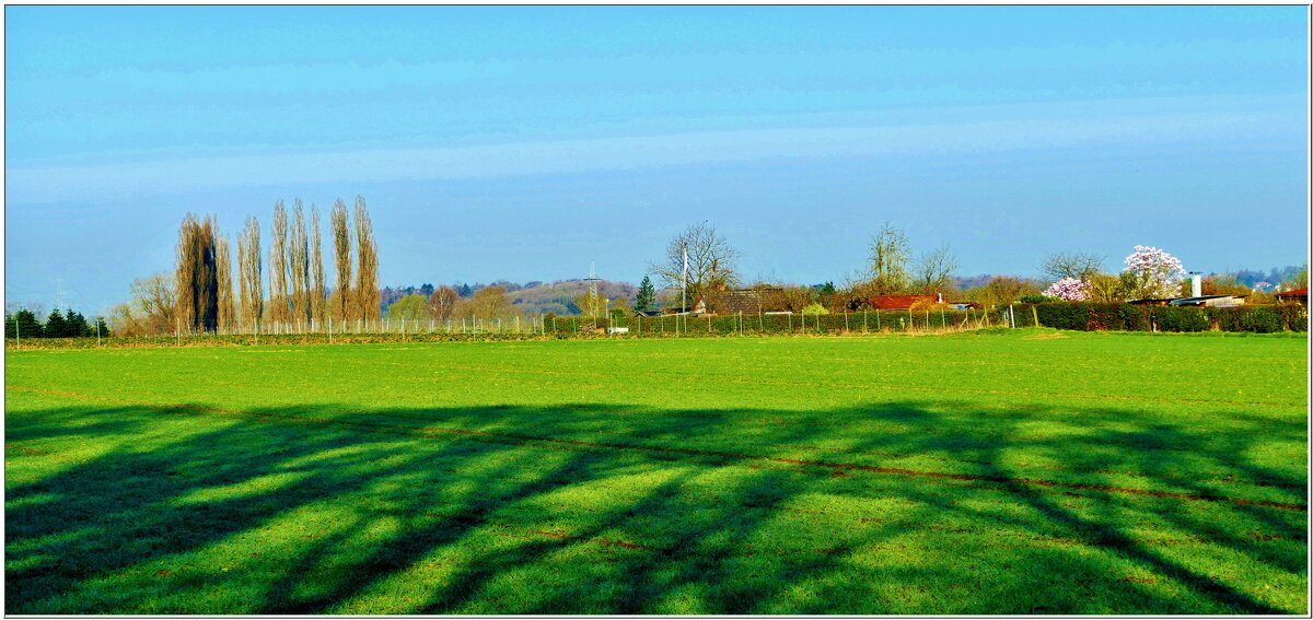 НА КРАЮ ПОЛЯ... - Elvira E. 