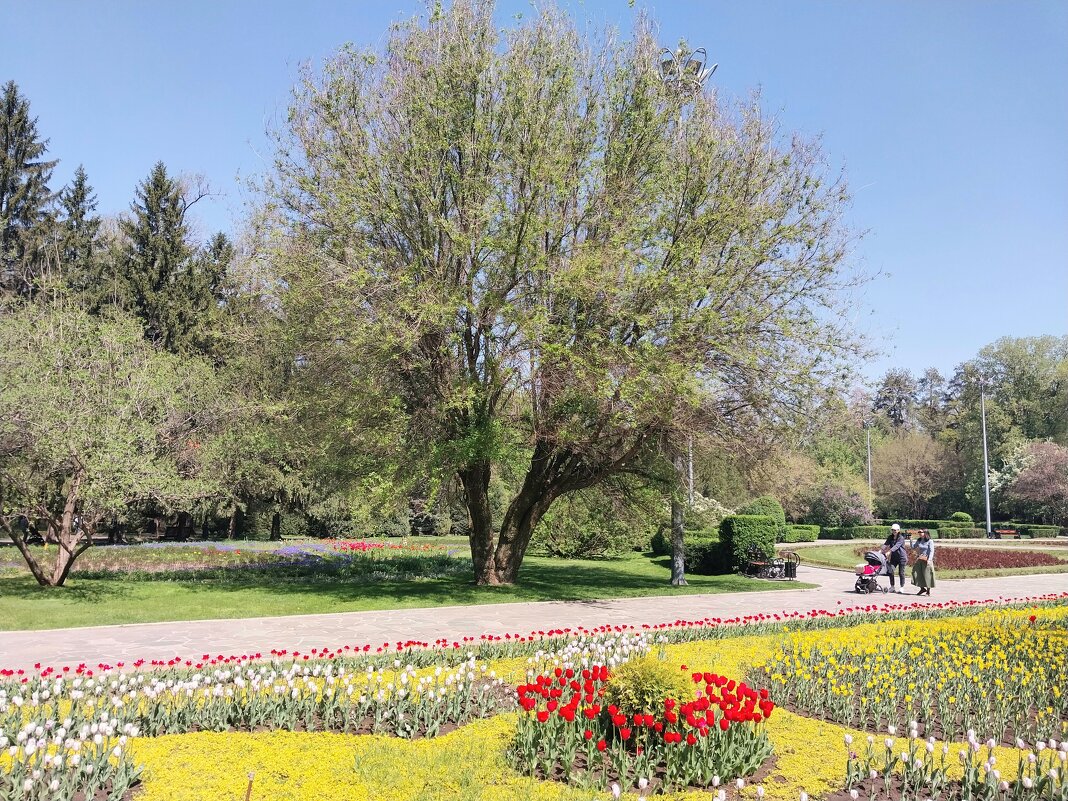 Almaty. - Murat Bukaev 