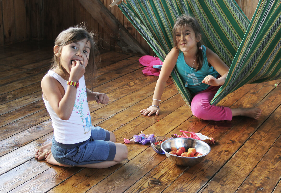 Абрикосики-2 - СЮ 