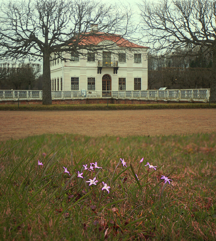 *** - Сергей Григорьев