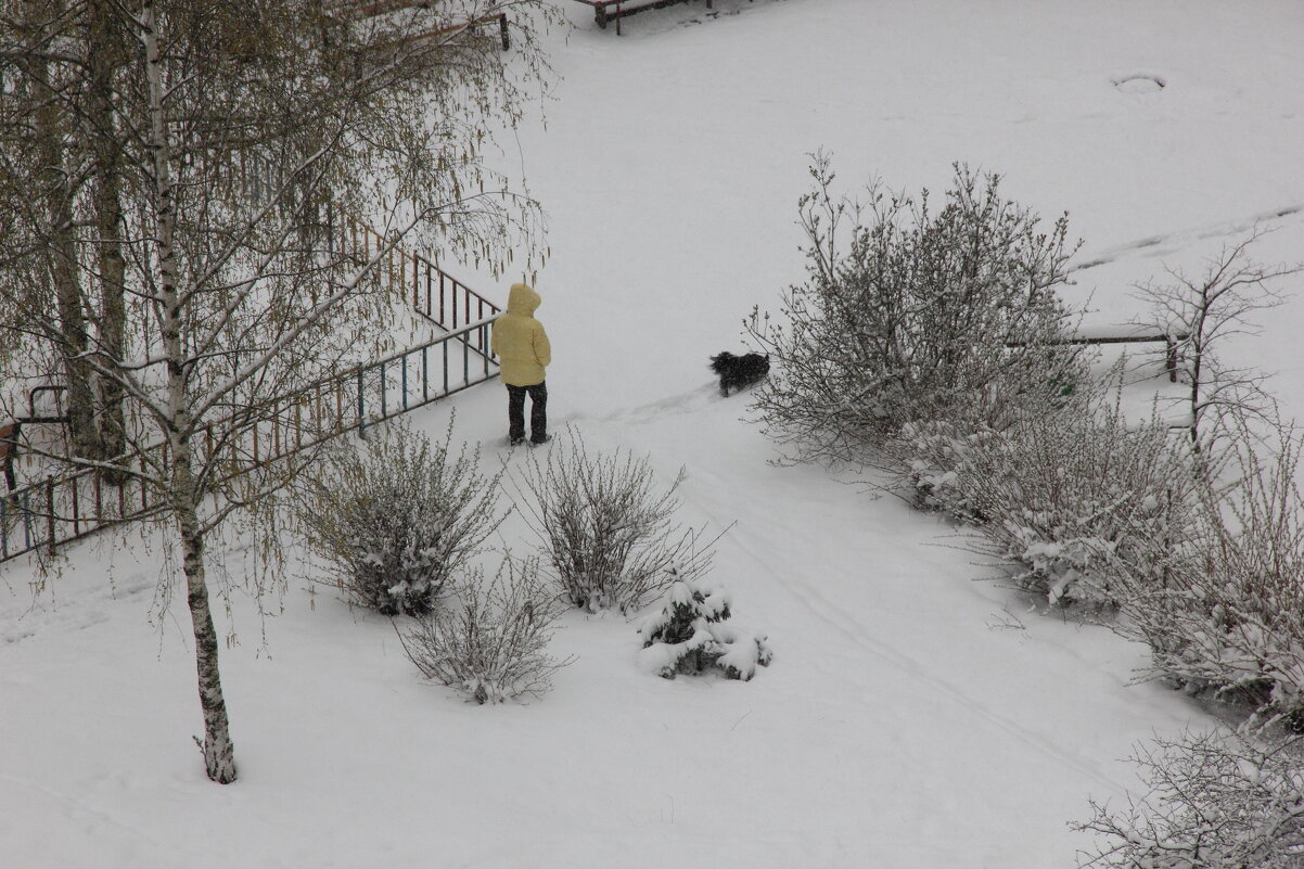 Вчера было сухо и зеленела травка, а нынче - посмотри   окно!  :) - Евгений Корьевщиков