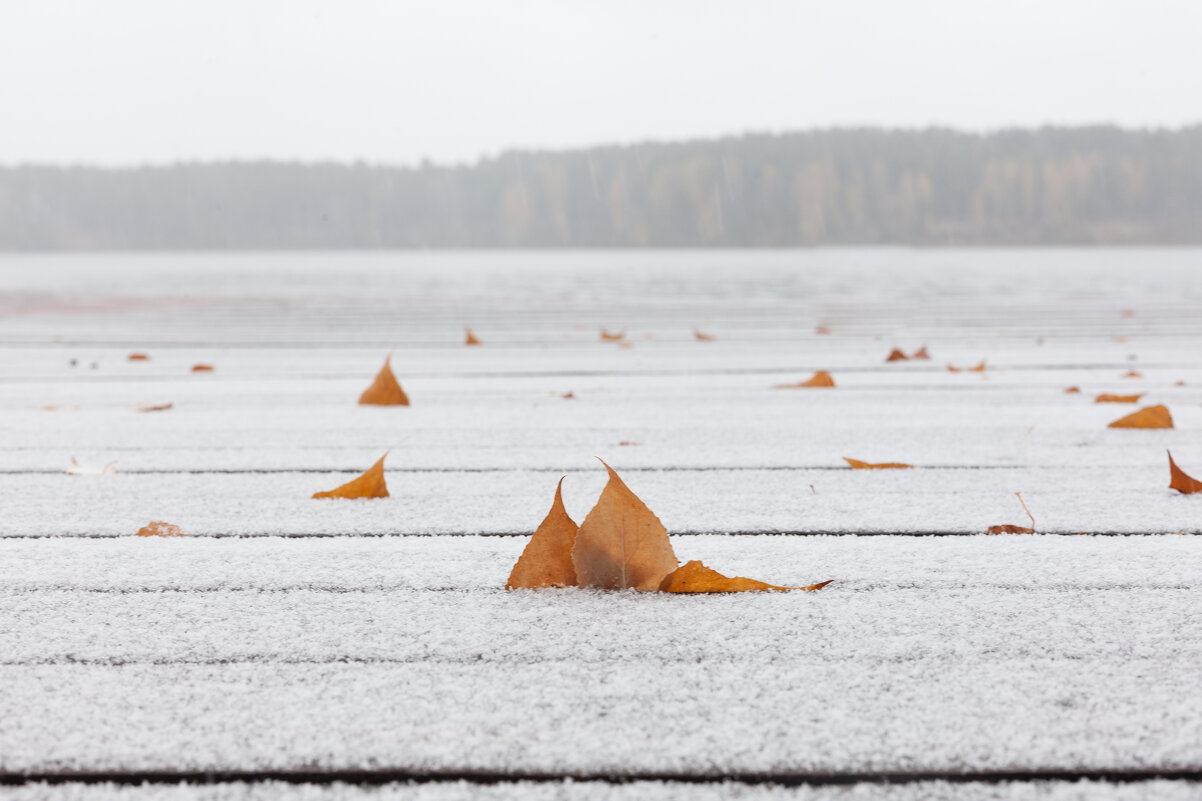 Поздняя осень - Константин Ощепков