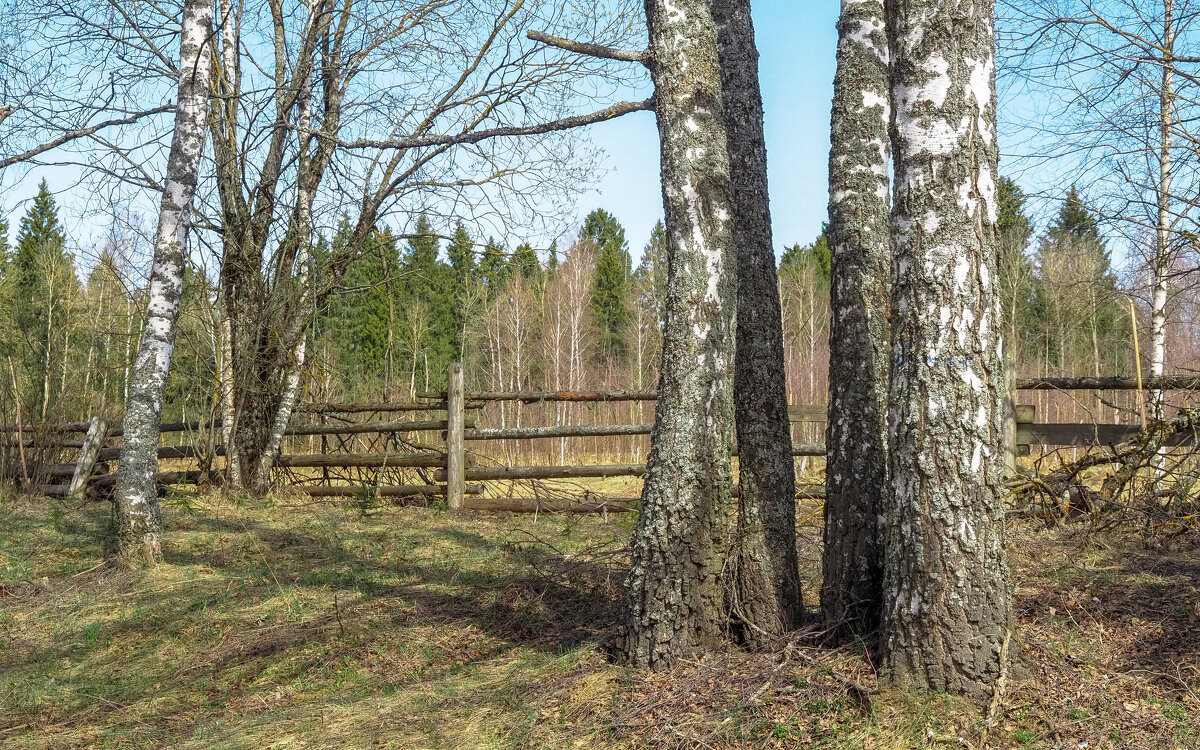 Подмосковные Пейзажи - юрий поляков