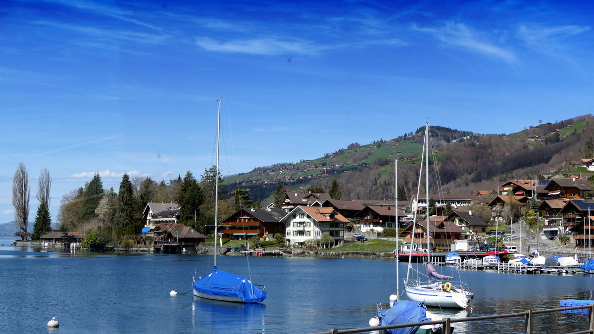 Switzerland - "The Natural World" Александер