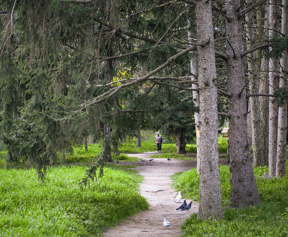 Прогулка в парке - Игорь Протасов