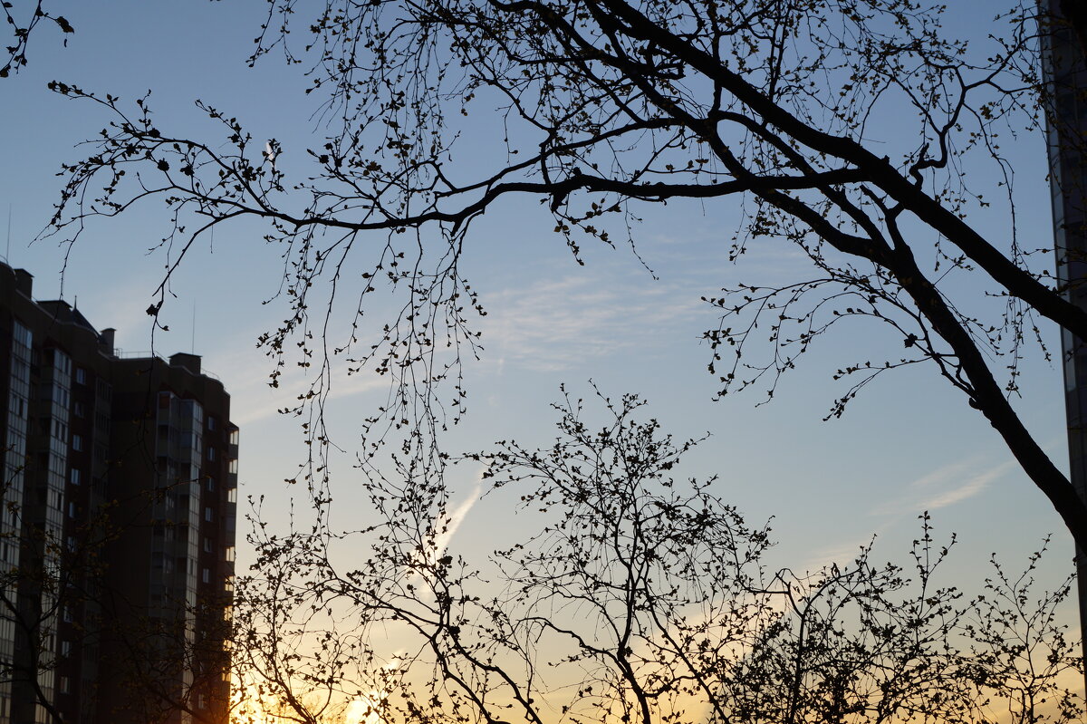 рассвет - Anna-Sabina Anna-Sabina