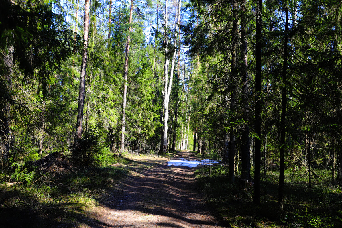 Весна - краснов юрий 