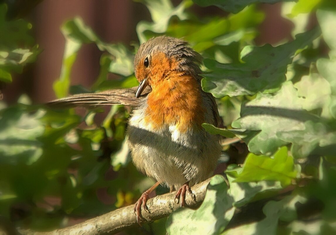 ... - Вячеслав Минаев