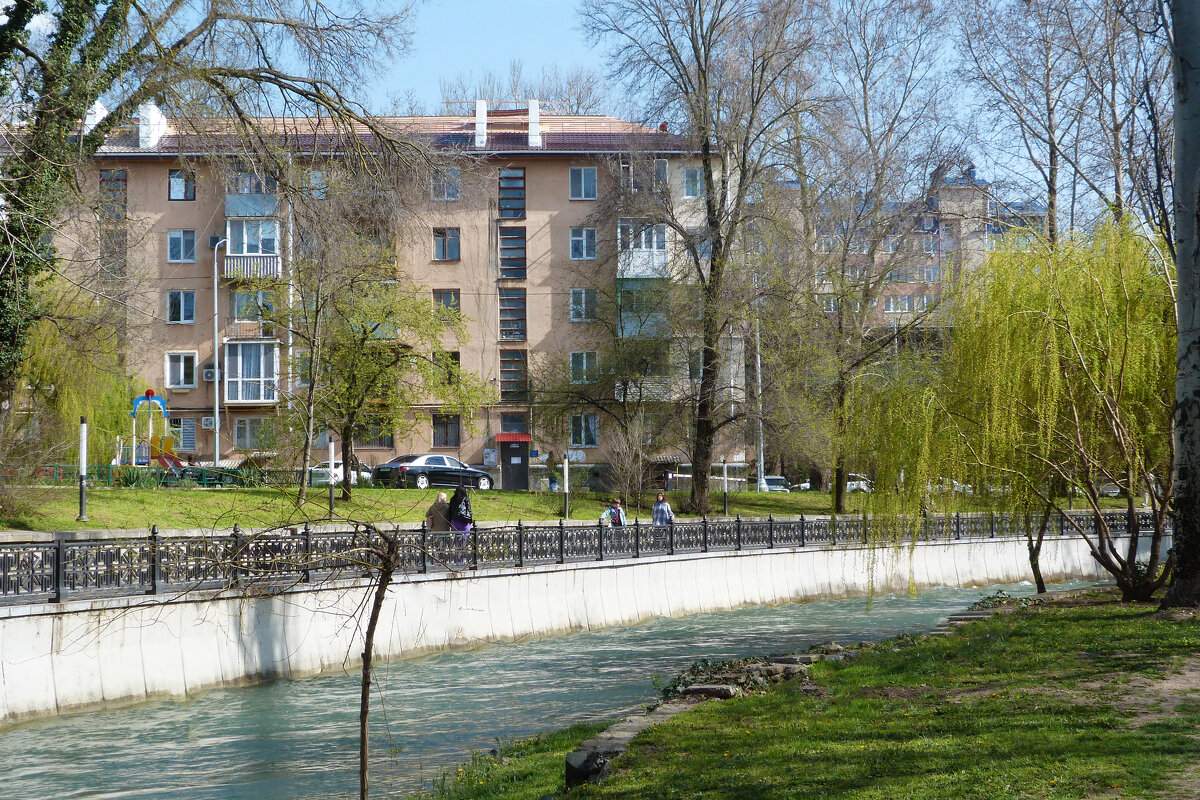 Дом у реки - Валентин Семчишин