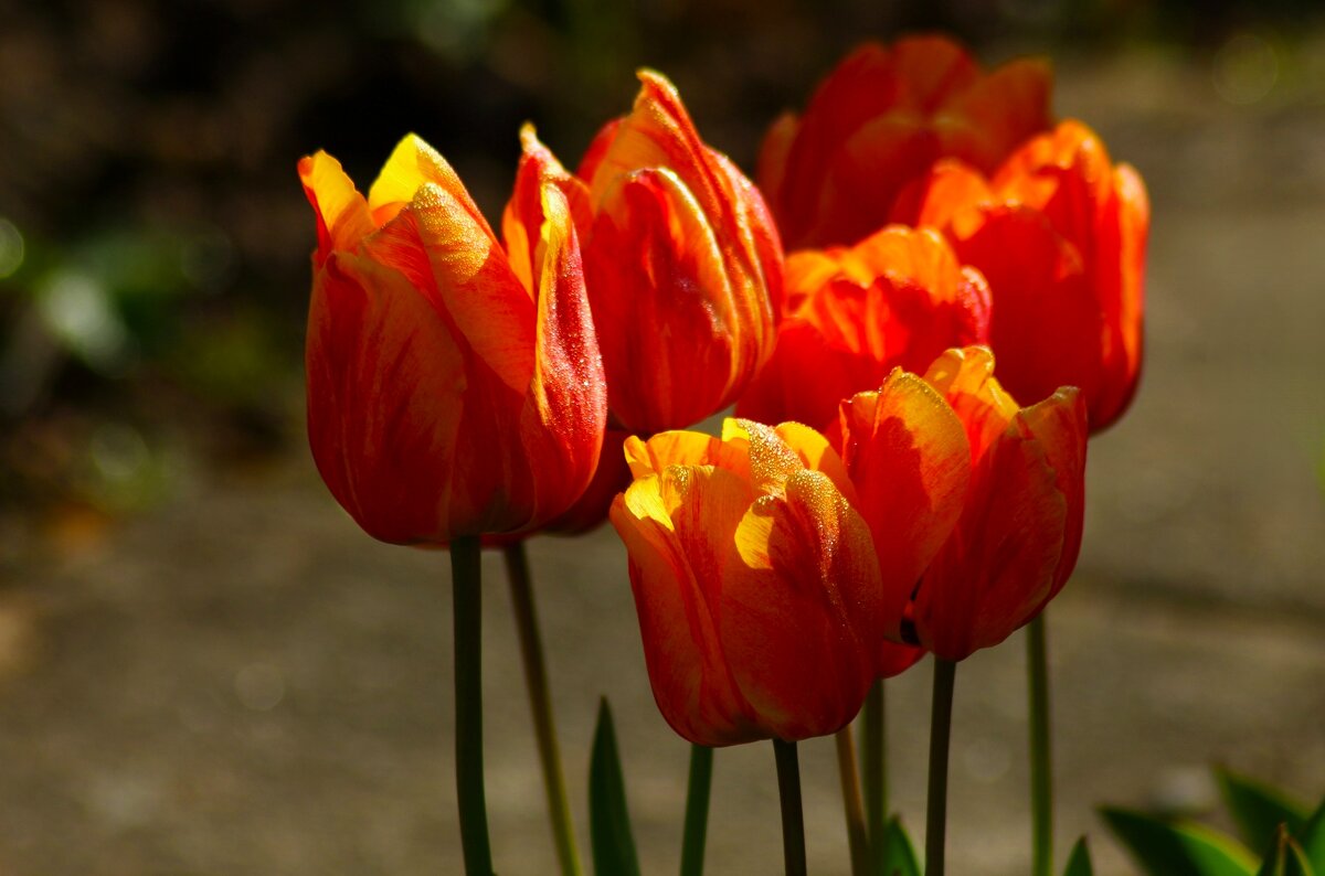 Доброе утро - Юрий. Шмаков