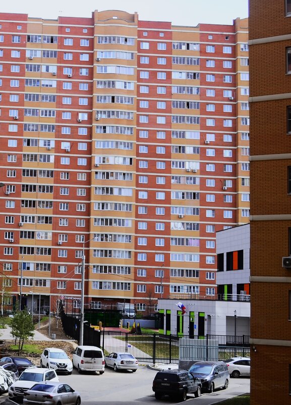 Человейник. - Василий Палий