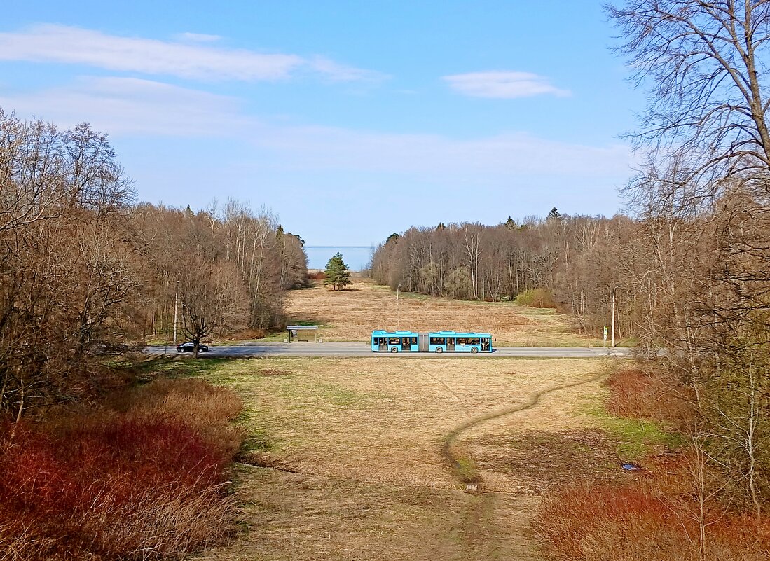 Автобус нарисовался... - Лия ☼