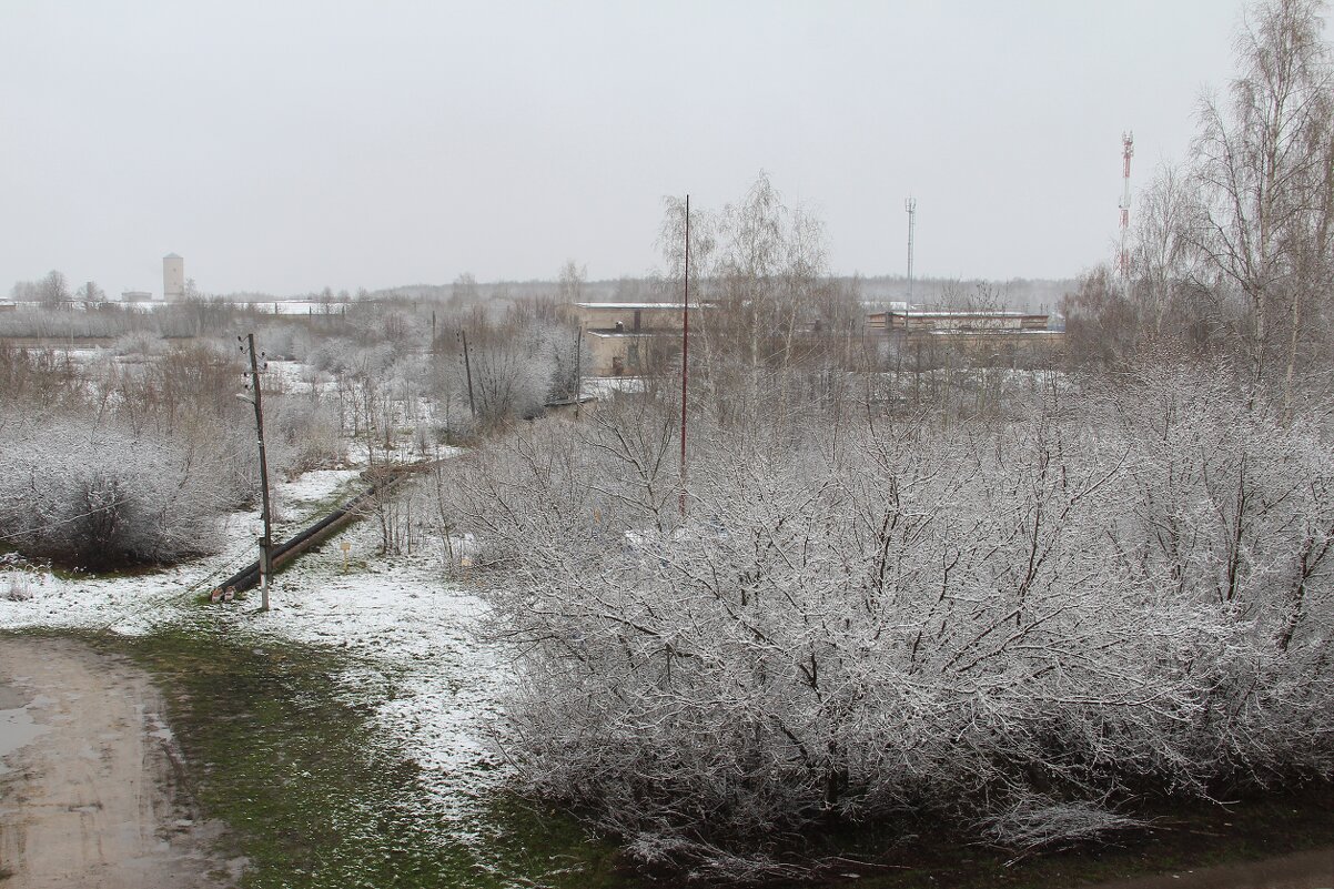 Травка зеленеет... - Елена Минина
