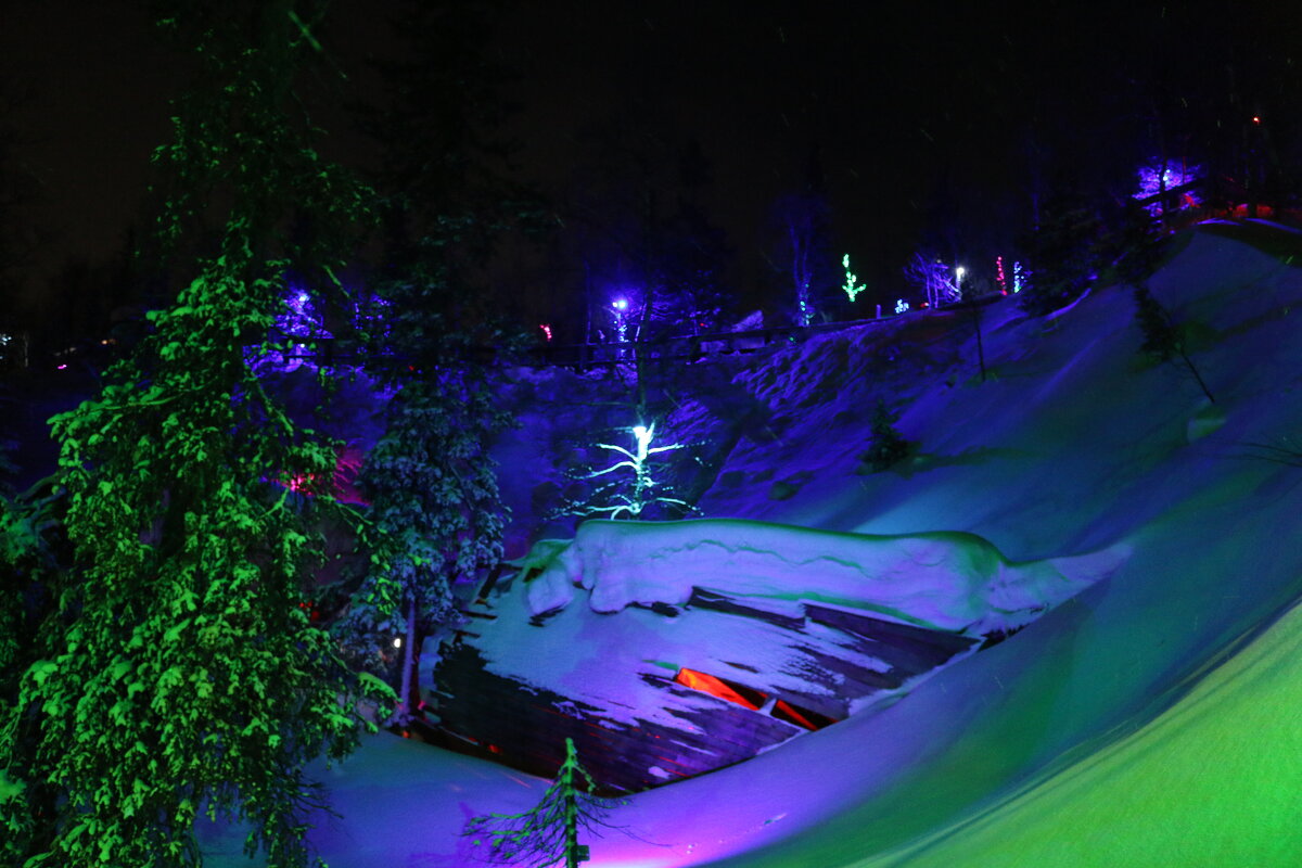 Ночи таинственного леса - Ольга 