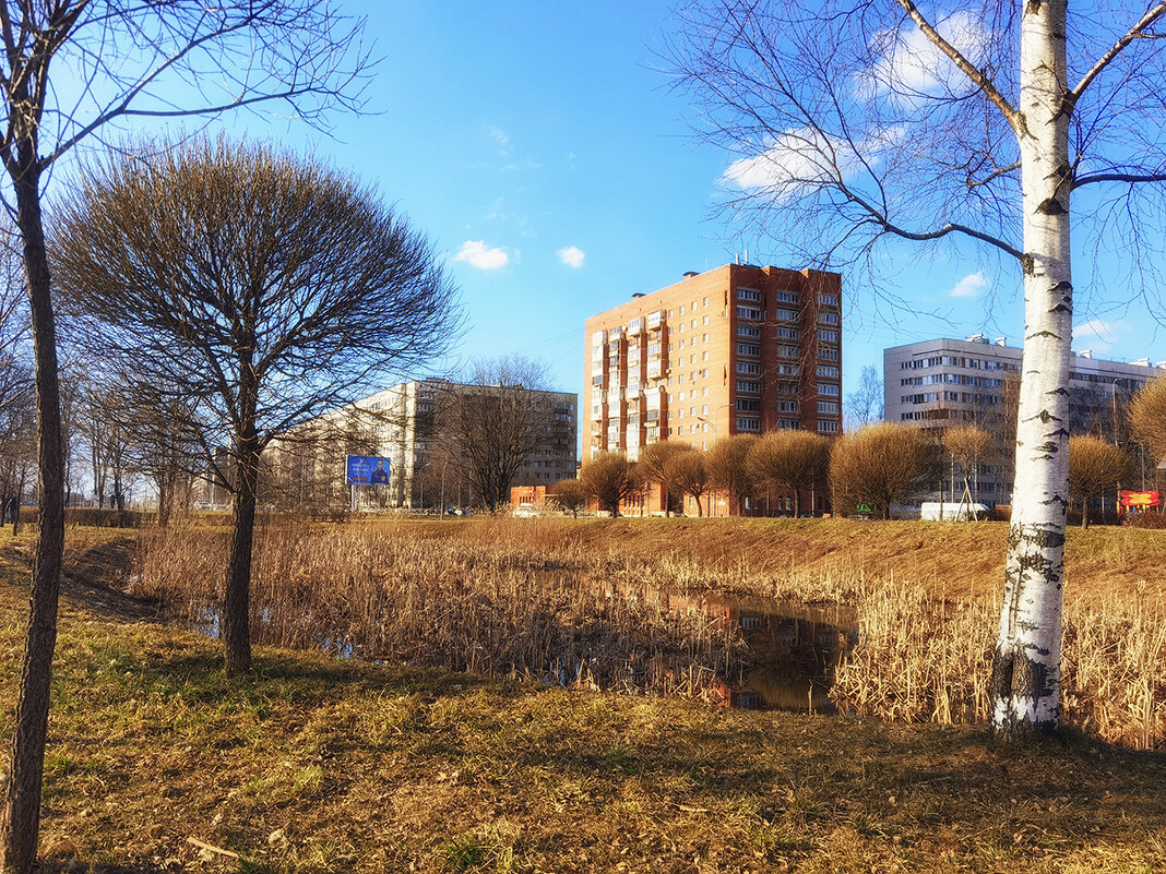 Пригожий день весенний. - Лилия *