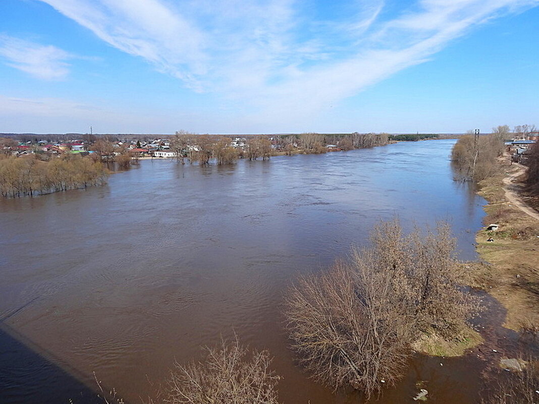 Разлилась река. Апрель Вид с моста. - Наталья ***