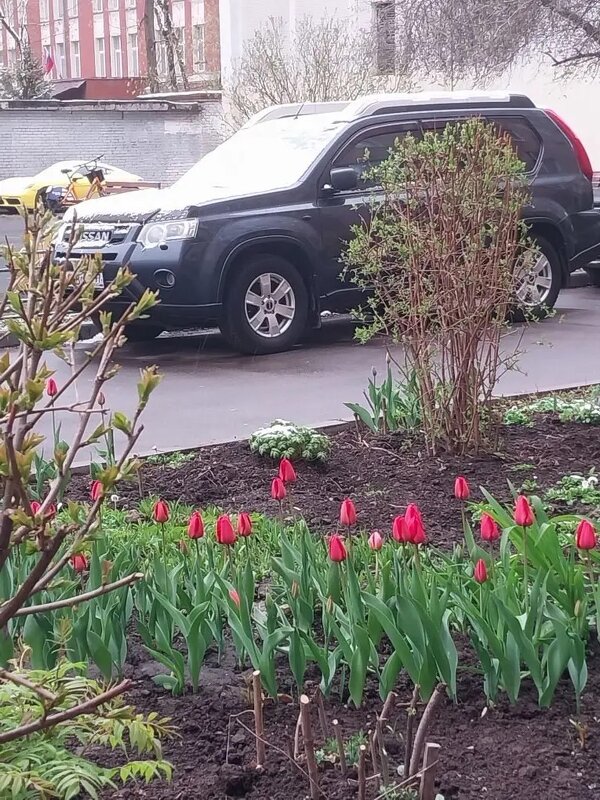 А у нас во дворе - Ирэн 