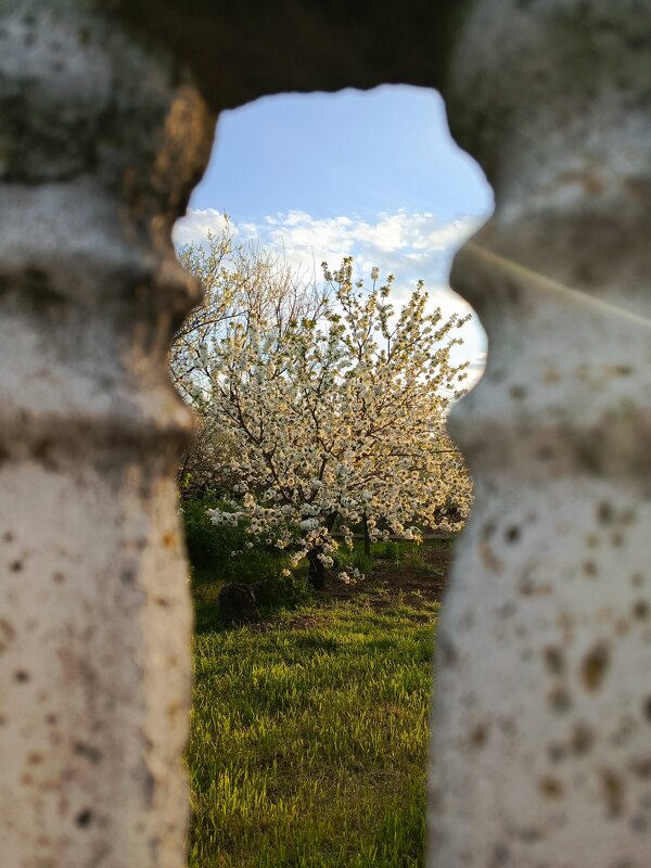 Взгляд сквозь окно - Татьяна Пальчикова
