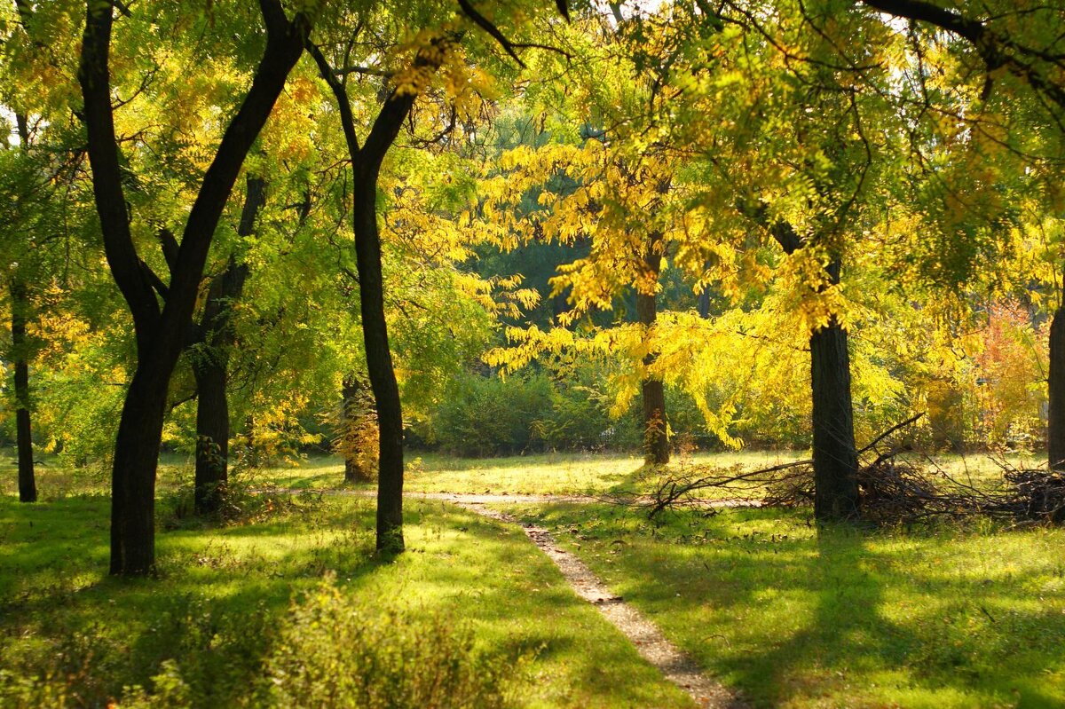 осенняя сказка - Олег Кабанец