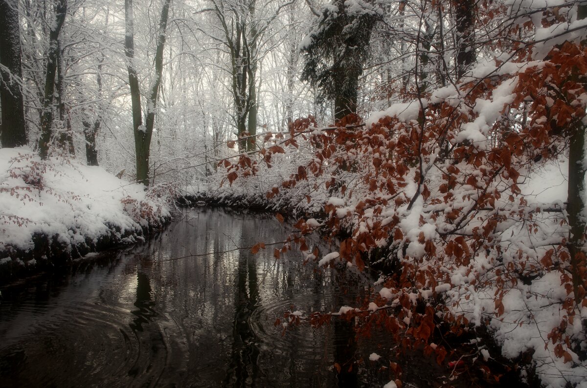 Лесная речушка.Зима - Виктор Савельев