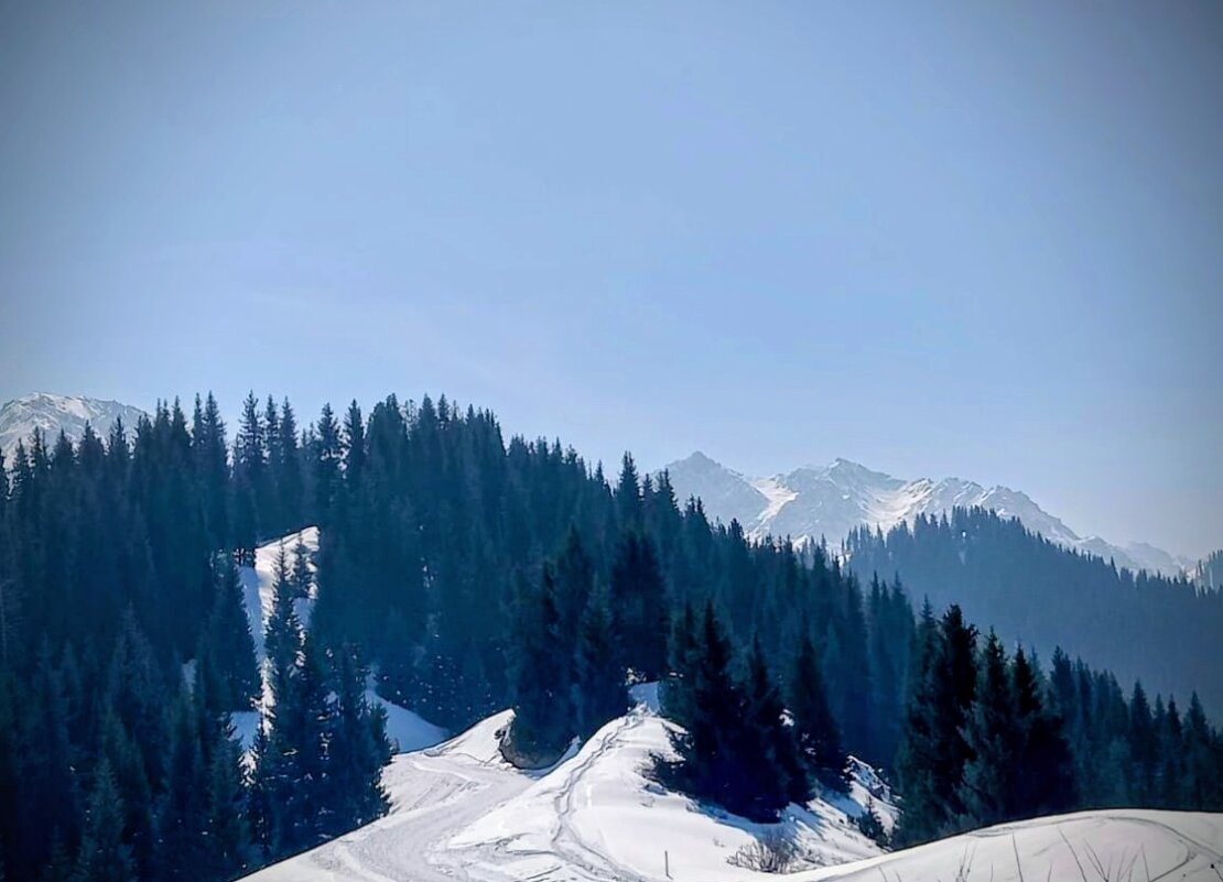 Горы,ждут - Георгиевич 