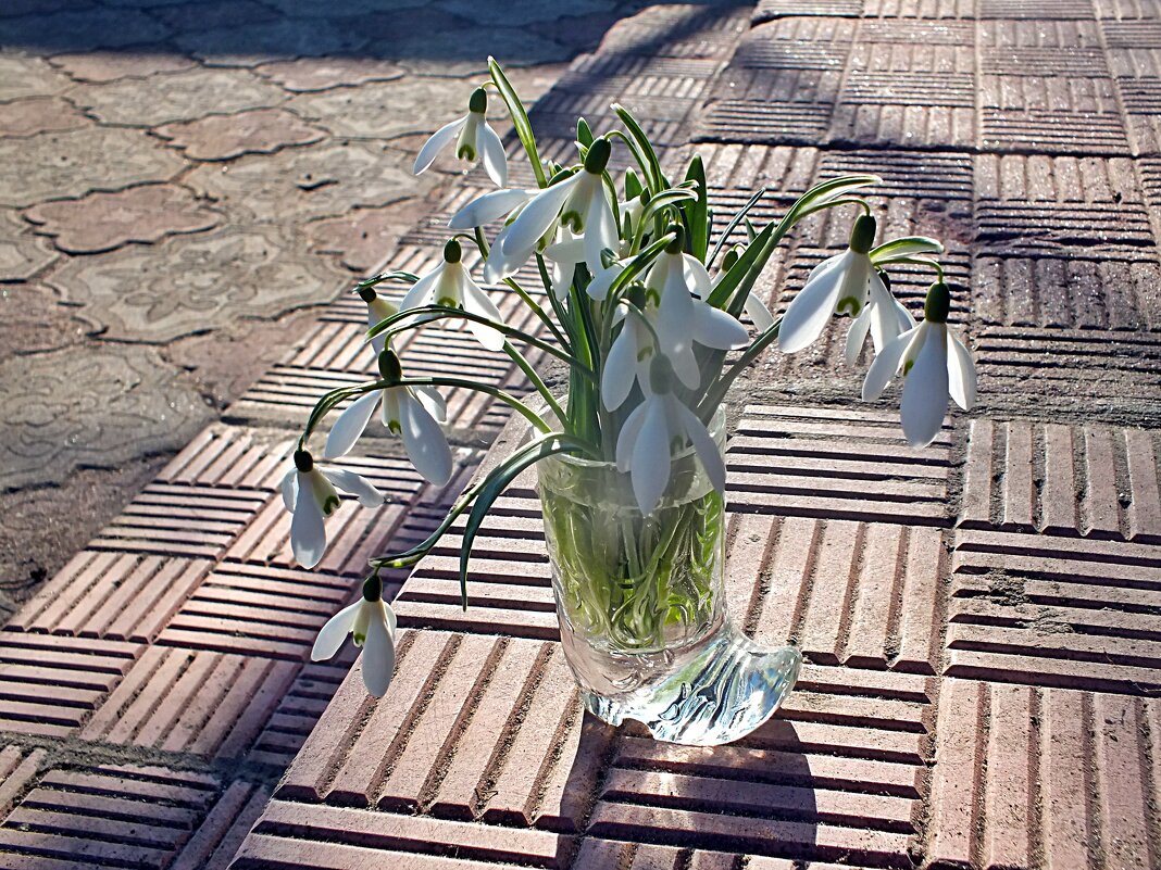 ** - Зоя Мишина