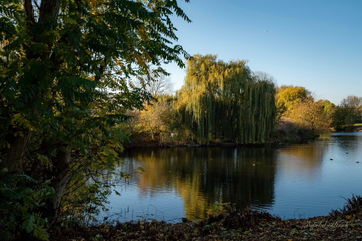 *** - Николай Гирш