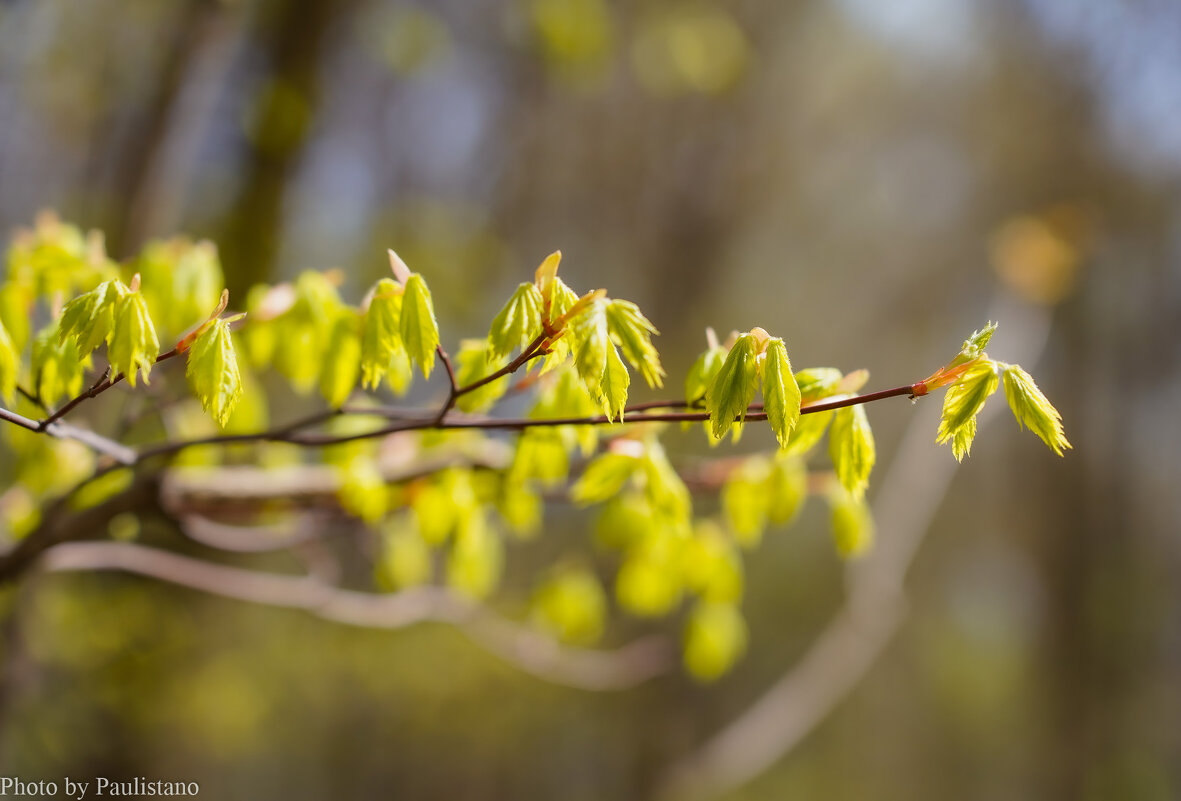 Пробуждение... - Владимир Жданов