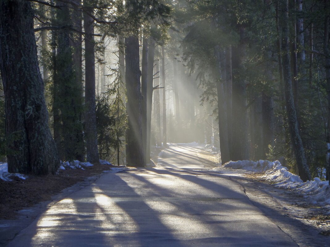 Свет и тени............. - Юрий Цыплятников