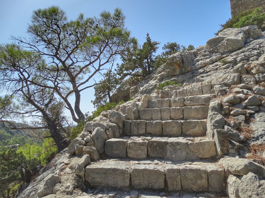 Ступени - svk *