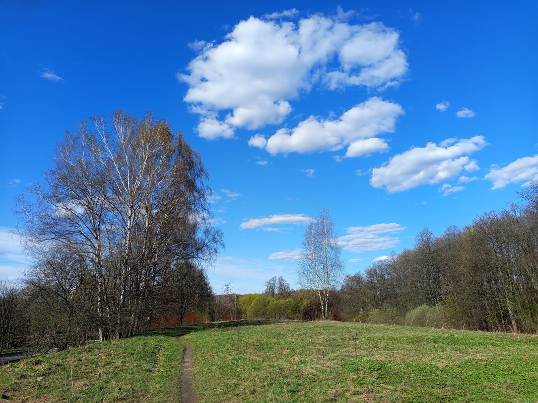 Апрельское - Андрей Лукьянов