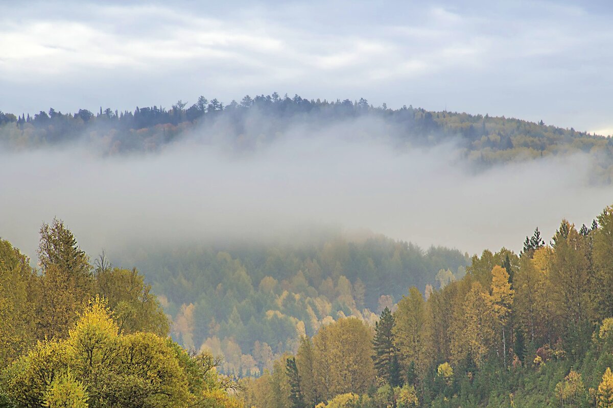 Туман в горах - Владимир Кириченко