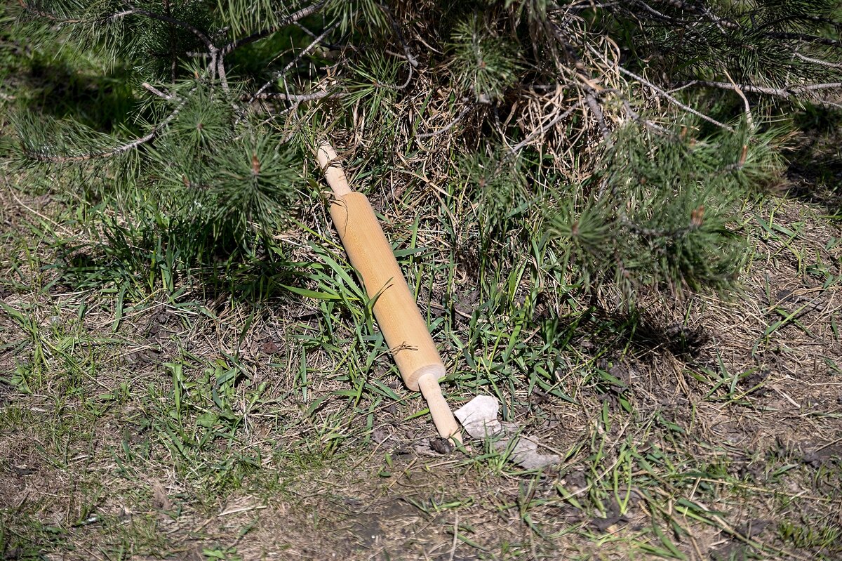 «И сказала скалка: „Мне Федору жалко“» - Валерий Иванович